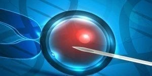 Genetic Pattern Gives Predictors of IVF Failure or Success 1