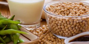 The Fertility Benefits of Soy in Moderation