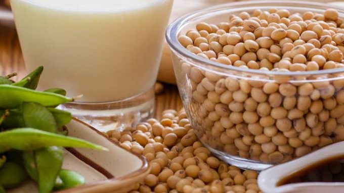 The Fertility Benefits of Soy in Moderation