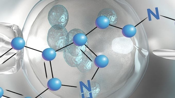 Melatonin's Role in IVF Treatments and Success Rates 