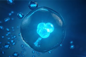 What to Know About Embryo Donation  2