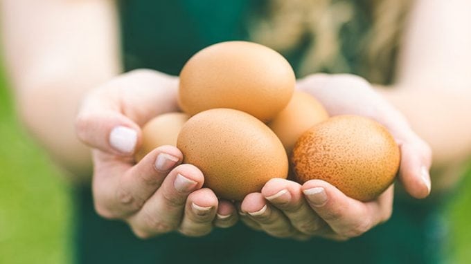 Improving Egg Health: A 90-Day Process
