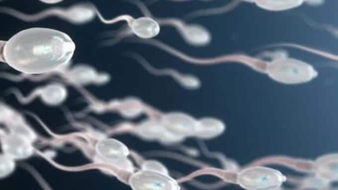 How to Naturally Boost Sperm Motility