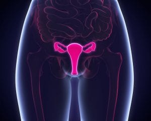 Cervical Health and Your Fertility