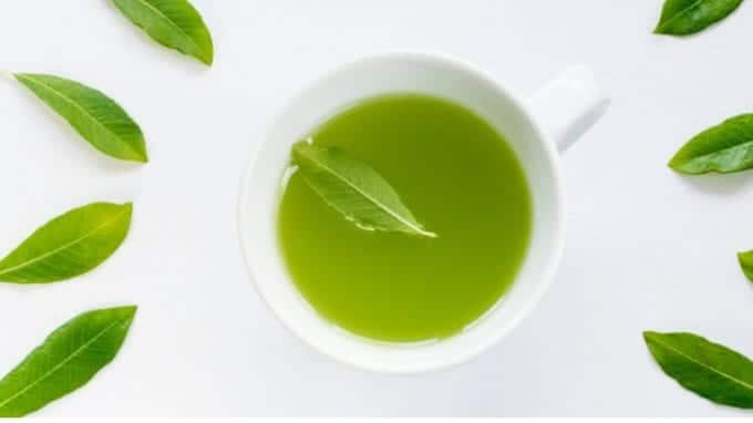 How Green Tea Catechins Impact Infertility