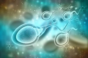 What Fatty Acid Levels Mean for Male Fertility