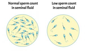 Is Pollution Contributing to Your Infertility? 2