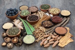 Using Shatavari Root to Help Regulate Ovulation 1