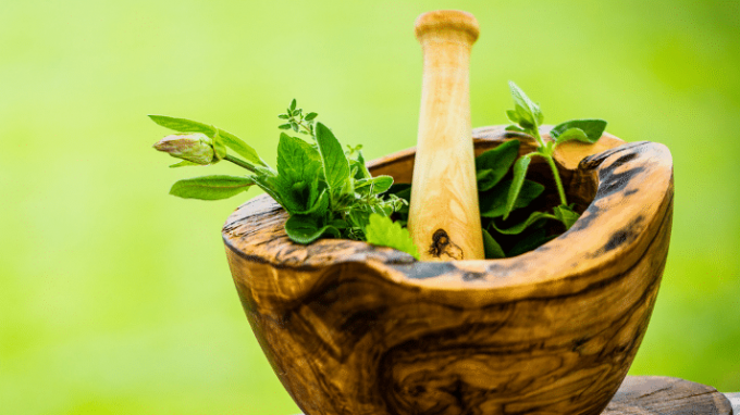 Popular Herbs for Female Fertility